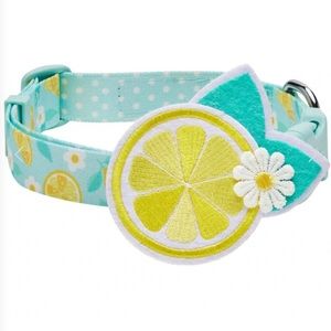 Blueberry Pet Zesty Fruit Dog Collar NWT